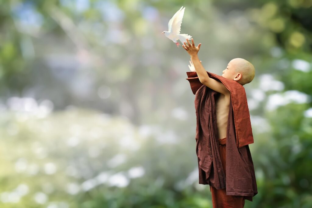 buddhist, monk, novice, buddhism, bird, release, nature, loving kindness, metta, freedom, samanera