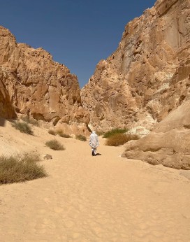 sylvia-andreu-bedui desert