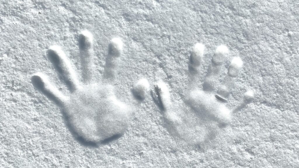 Close-up of two hand imprints in fresh snow, capturing winter texture.