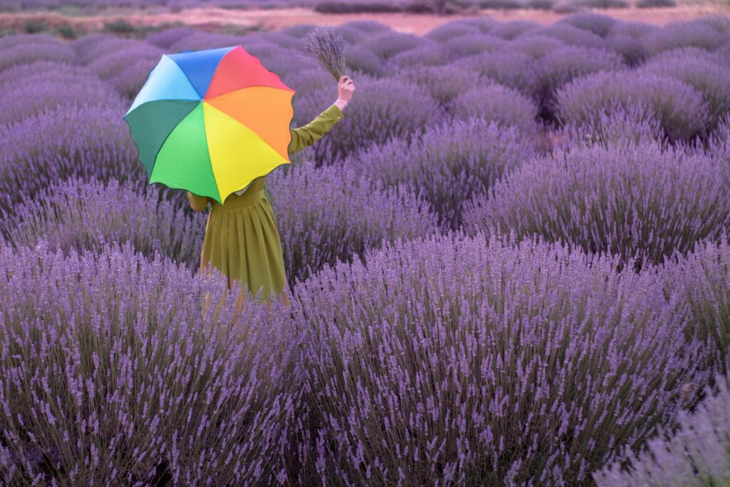Person holding colorful umbrella in lush lavender field, Isparta, Turkey.